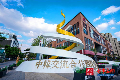 培植陽光沃土 城陽為金花成長打造信息技術(shù)熱帶雨林